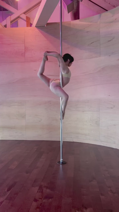 Selene Pole Bodysuit Moonlight